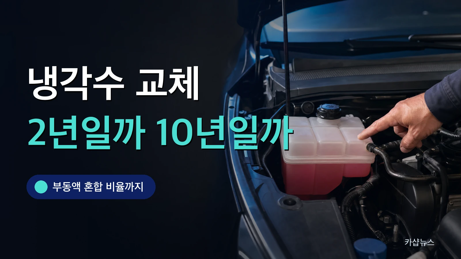 보닛을 열고 냉각수 보조탱크를 가리키는 사진 위에 냉각수 교체 주기 문구가 얹힌 카샵뉴스 썸네일